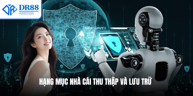 Hạng mục nhà cái thu thập và lưu trữ