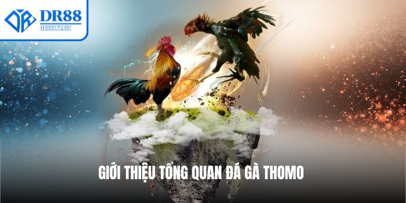 Giới thiệu về đá gà Thomo