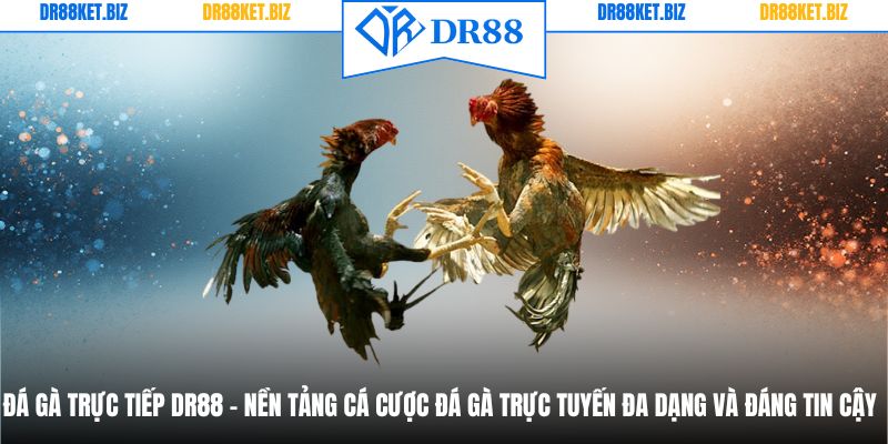 Đá Gà Trực Tiếp - Nền Tảng Cá Cược Đa Dạng, Đáng Tin Cậy