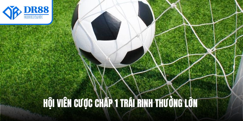 Hội viên cược chấp 1 trái rinh thưởng lớn